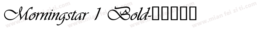 Morningstar 1 Bold字体转换